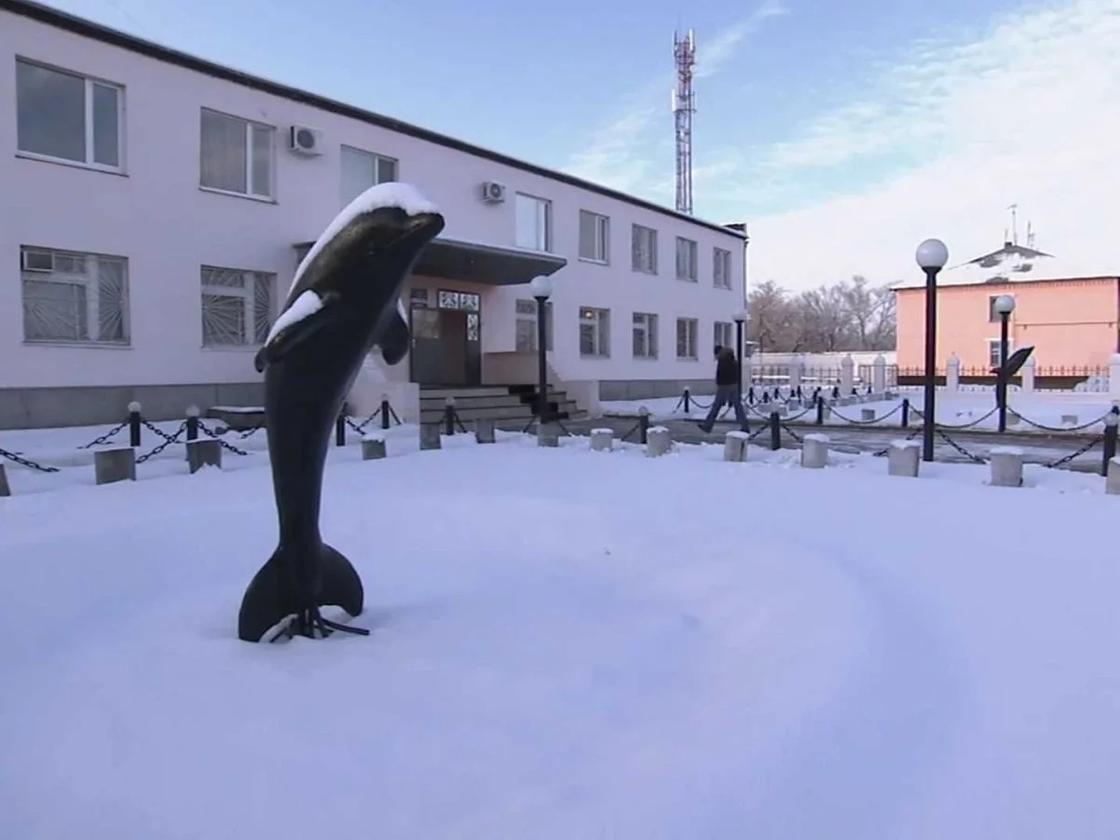 Как устроена самая суровая тюрьма России «Черный дельфин»
