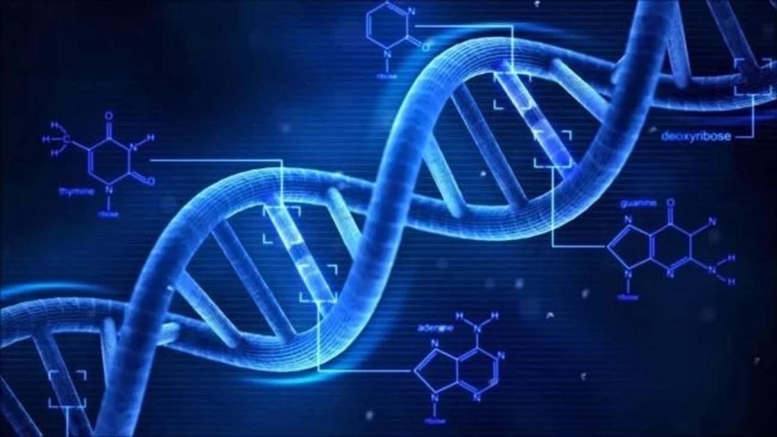 Что произойдет в мире за 1 минуту Что произойдет в мире за 1 минуту