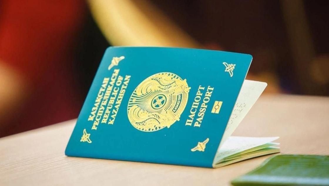 Уголовную ответственность за двойное гражданство предложили ввести в Казахстане