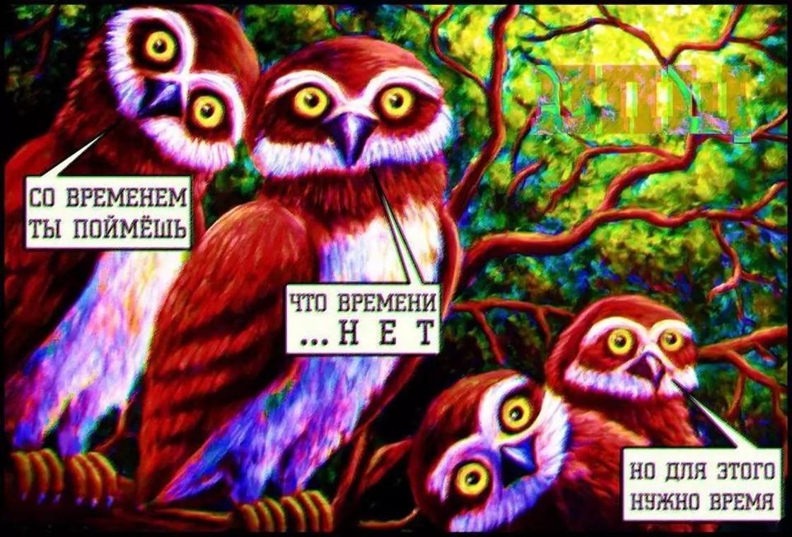 Уят головного мозга или революция современного сознания в картинках Уят головного мозга или революция современного сознания в картинках