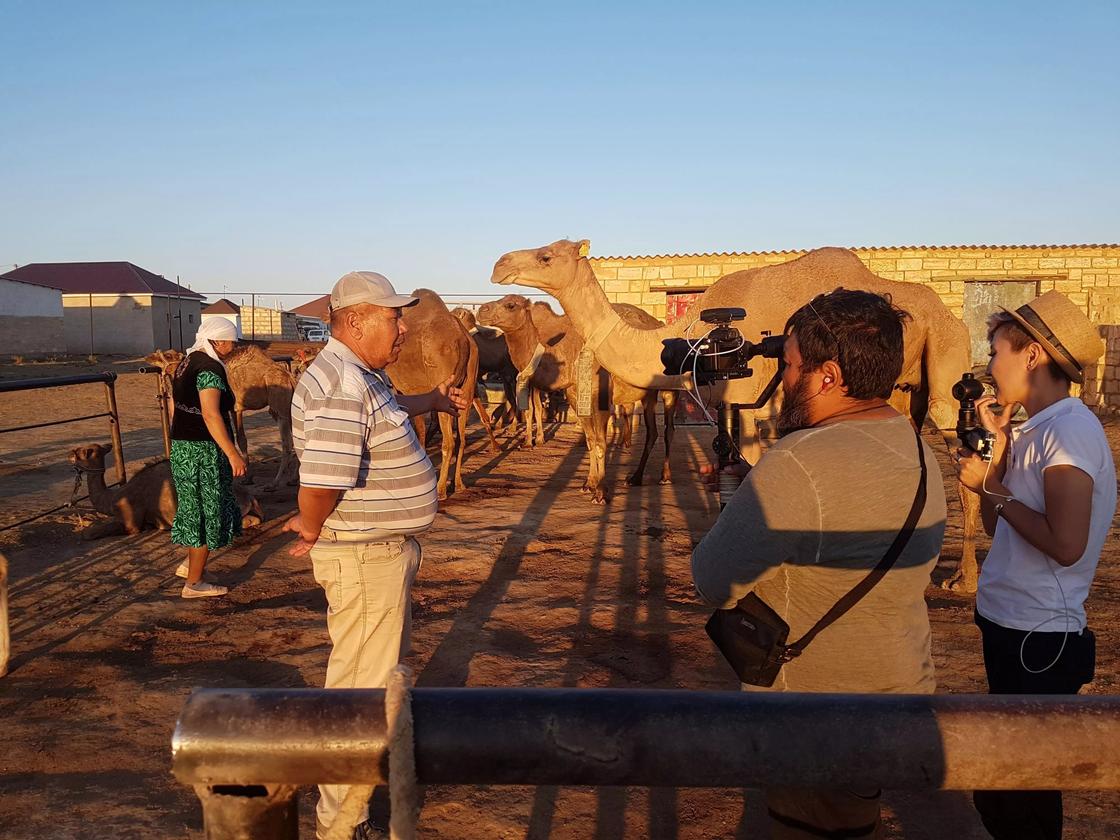 В сердце пустыни: путешествие проекта "Большие города" на запад Казахстана
