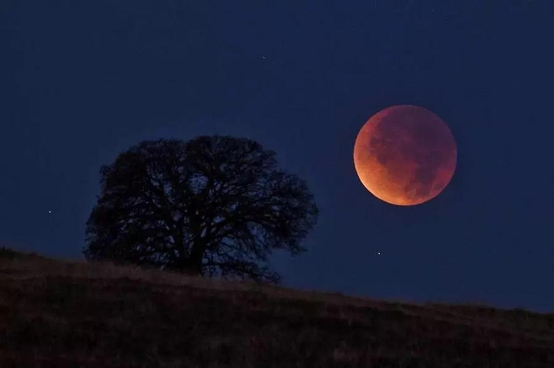 Красную Луну увидят в Казахстане
