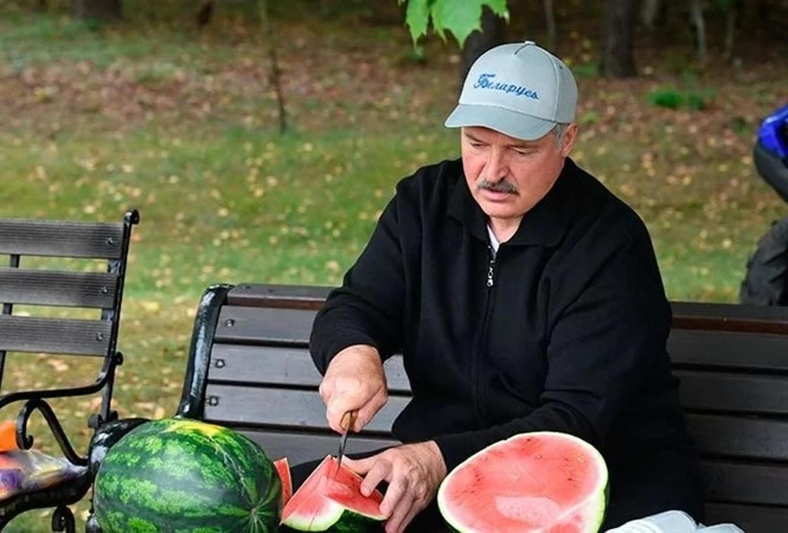 Лукашенко собрал на своем приусадебном участке урожай картофеля и арбузов (фото, видео) Лукашенко собрал на своем приусадебном участке урожай картофеля и арбузов (фото, видео)