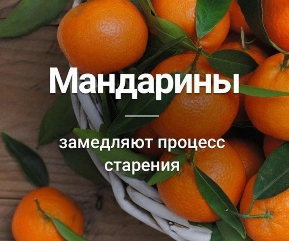 Самые интересные факты обо всем на свете Самые интересные факты обо всем на свете