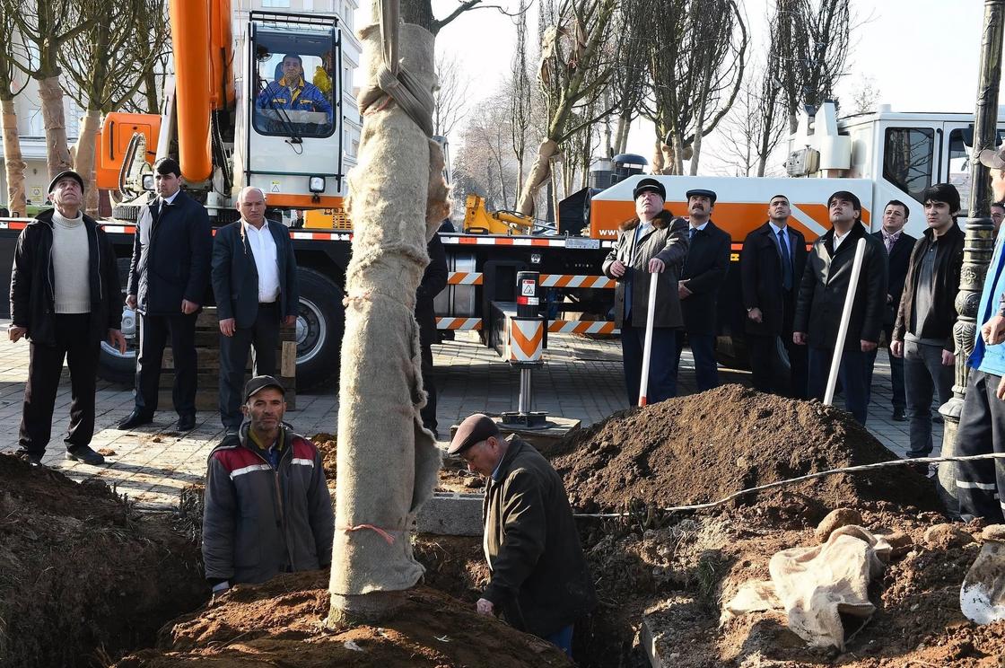 От Назарбаева до Трамапа: как президенты сажают деревья