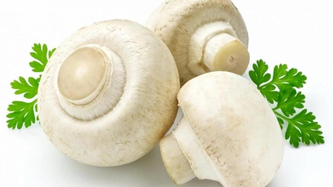 Салат с жареными грибами, ветчиной и сыром Салат с жареными грибами, ветчиной и сыром