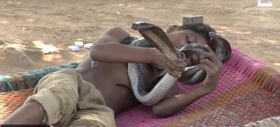 «Он с ними ест и спит»: 7-летний мальчик несколько лет дружит с ядовитыми змеями (видео)