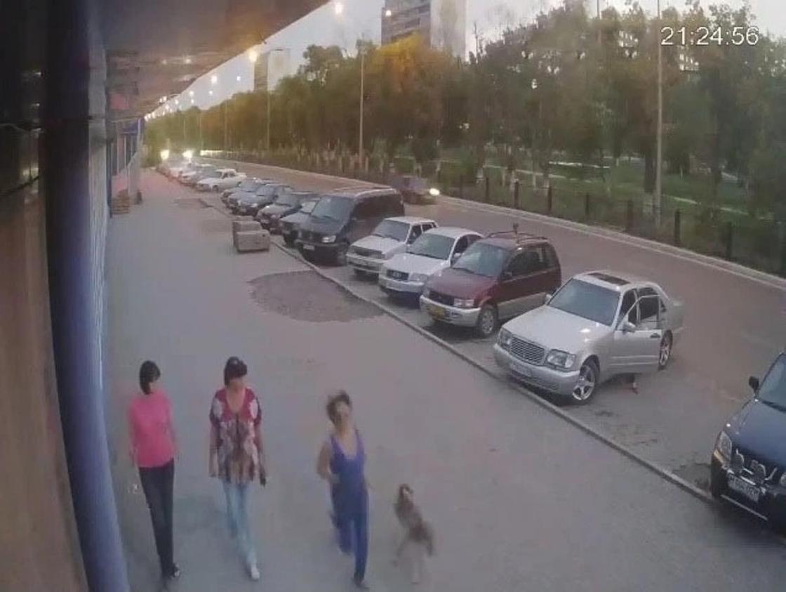 Собака покусала пятилетнего ребенка в Темиртау: хозяйка животного сбежала
