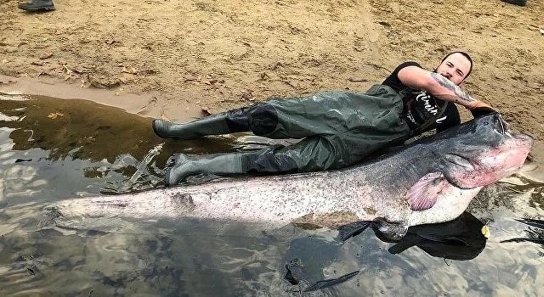 Рыбак выловил рекордного 100 килограммового сома (фото)