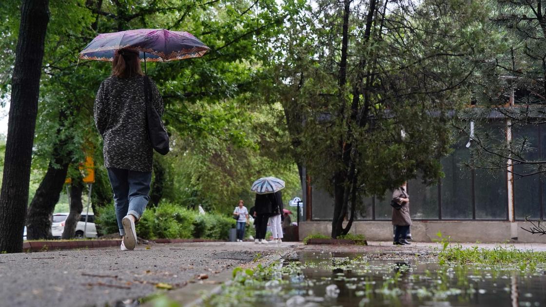 Уроки французского краткое содержание nur kz