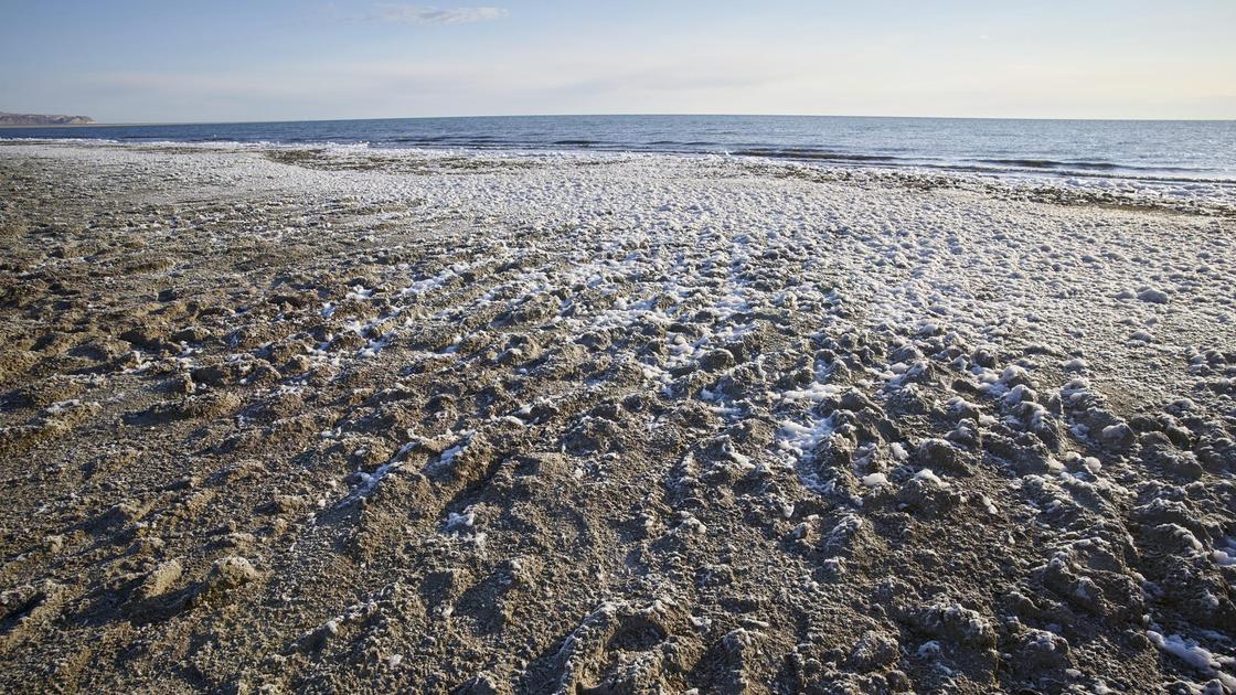 Аральское море с водой