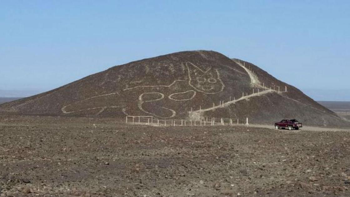 Пустыня Наска, кот Пустыня Наска, кот