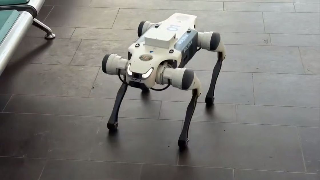 Робот-собака