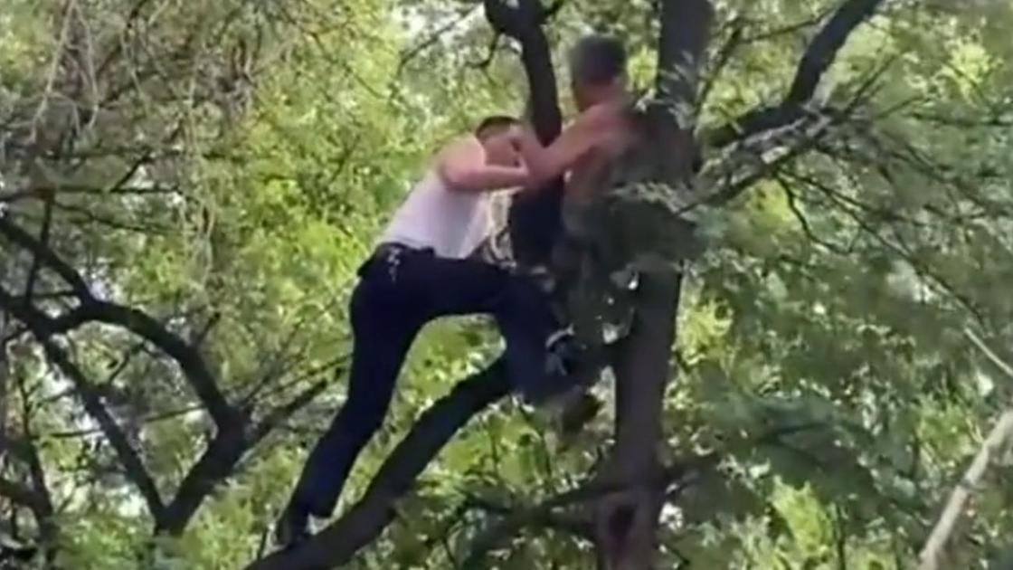 Мужчину пытаются снять с дерева