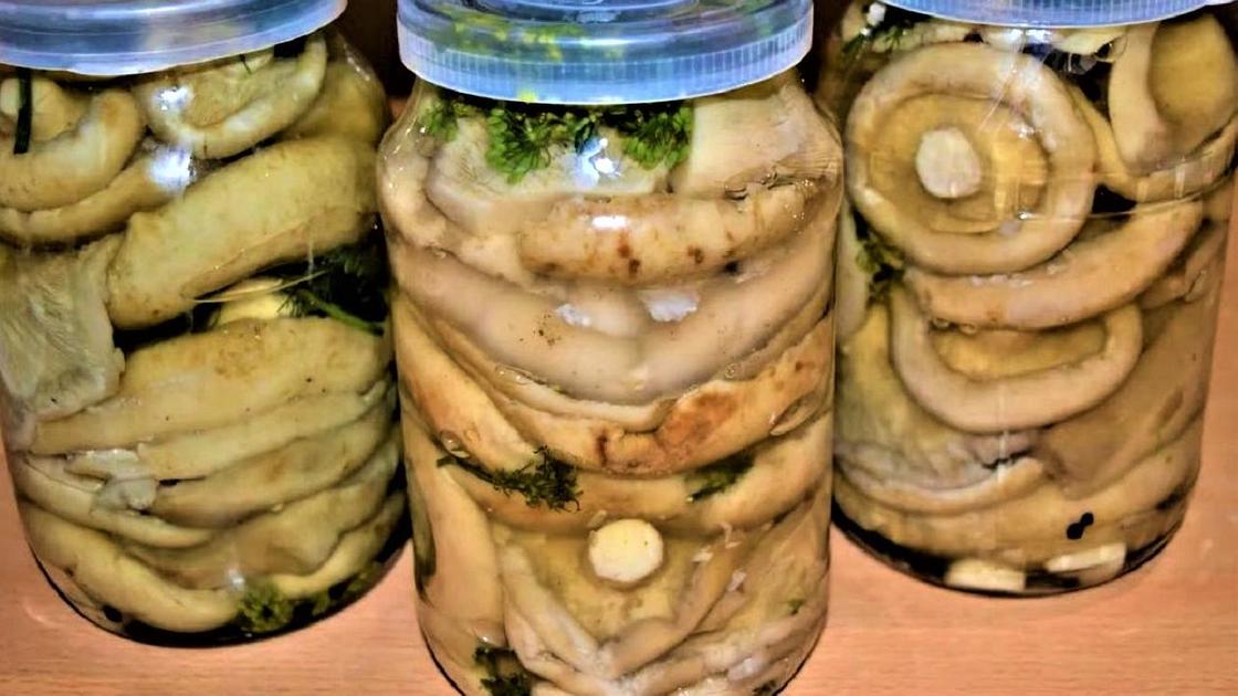 Соленые грибы на зиму - рецепт с пошаговыми фото | Меню недели
