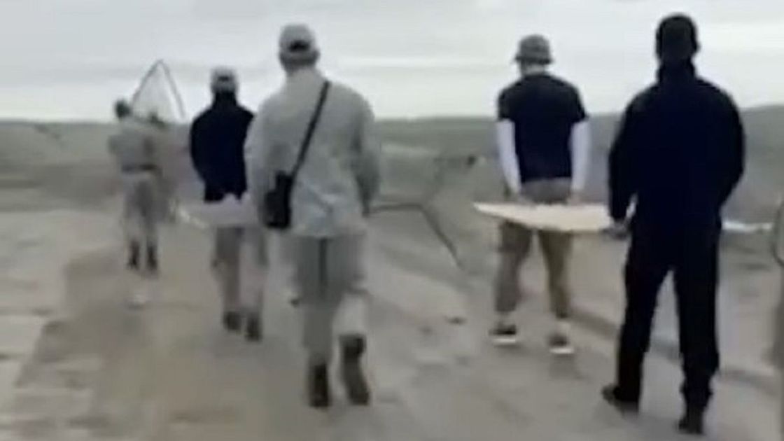 Сотрудники