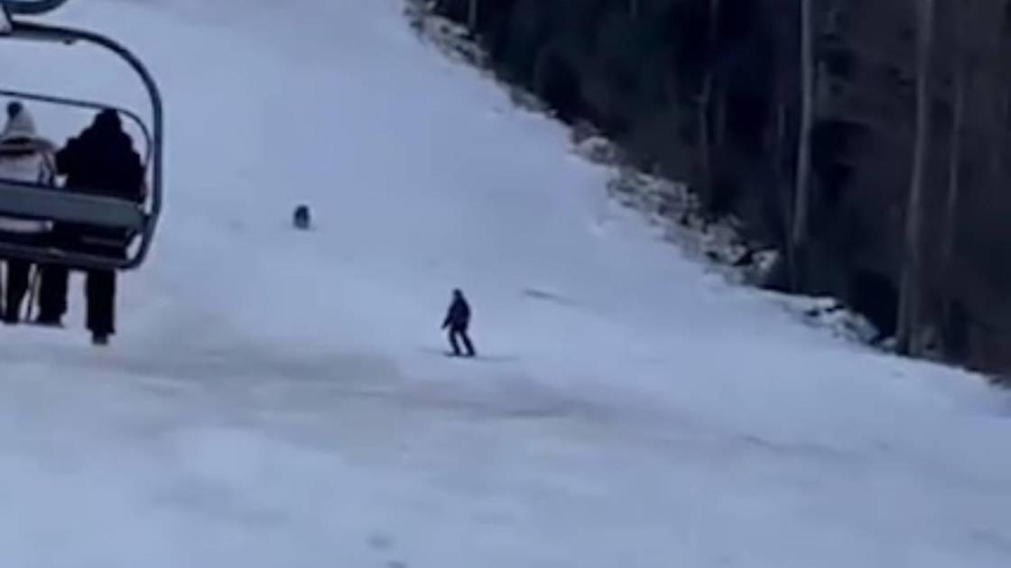 Медведь погнался за лыжником