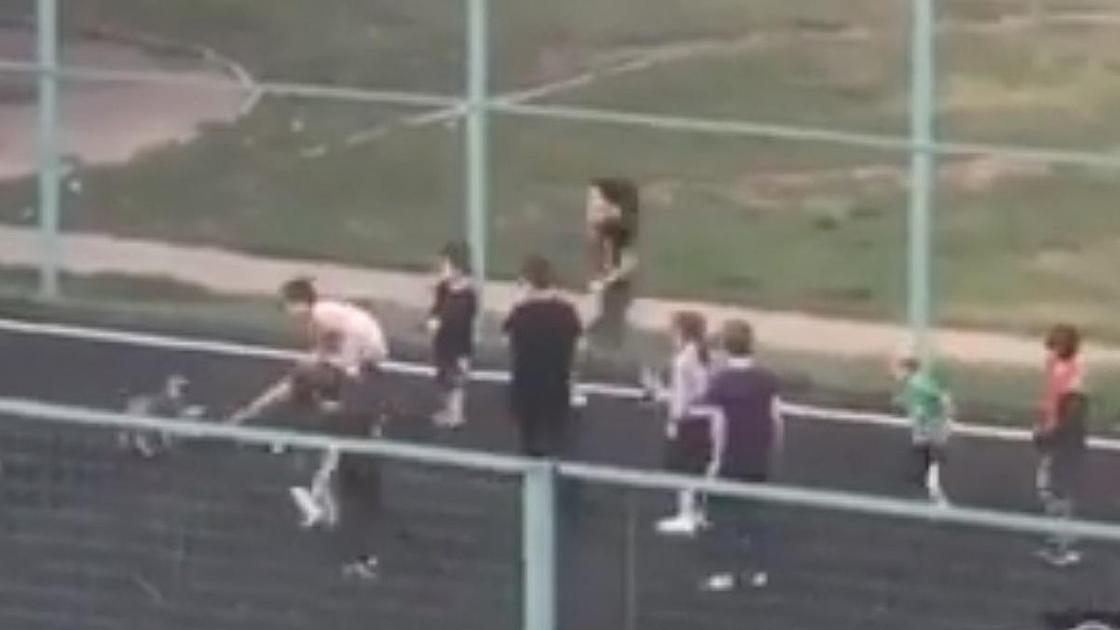 Дети издеваются над щенком на спортивной площадке