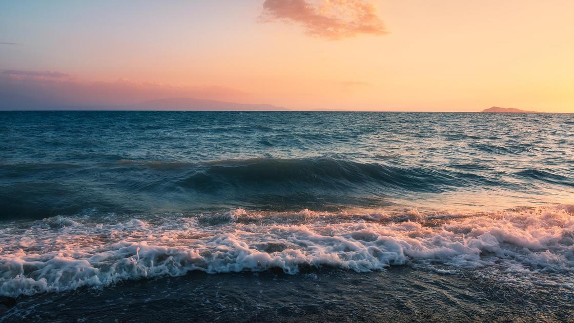 На берегу озера