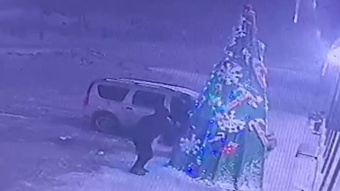 Елка в Бейнеу