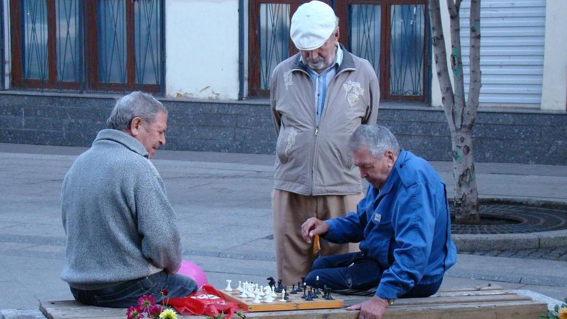 Пенсионеры играю в шахматы