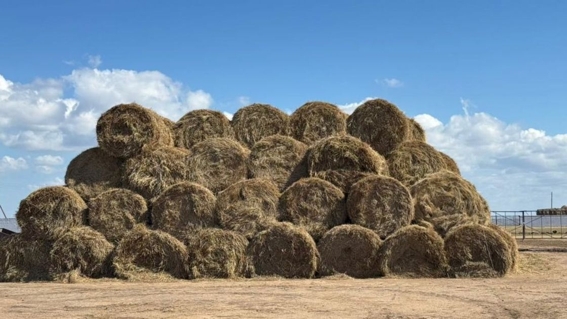Аграрная кредитная корпорация