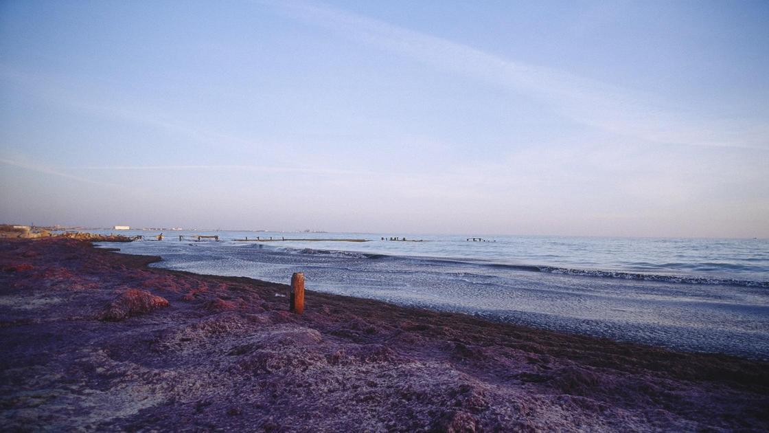 Каспий теңізі жағалауы