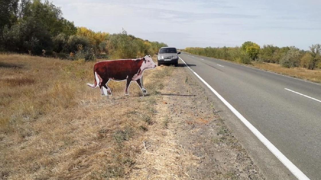 Муляж коровы на трассе в ЗКО