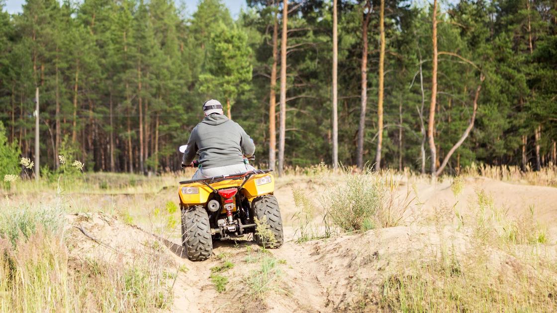 Квадроцикл в лесу