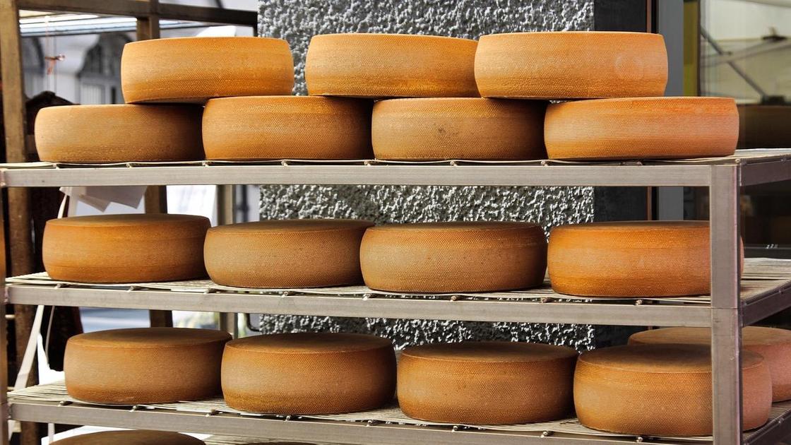 Головы сыра