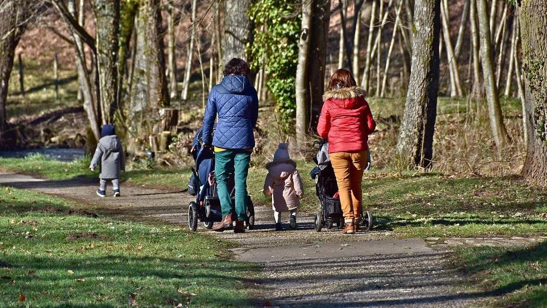 Мамы гуляют с детьми и колясками в парке