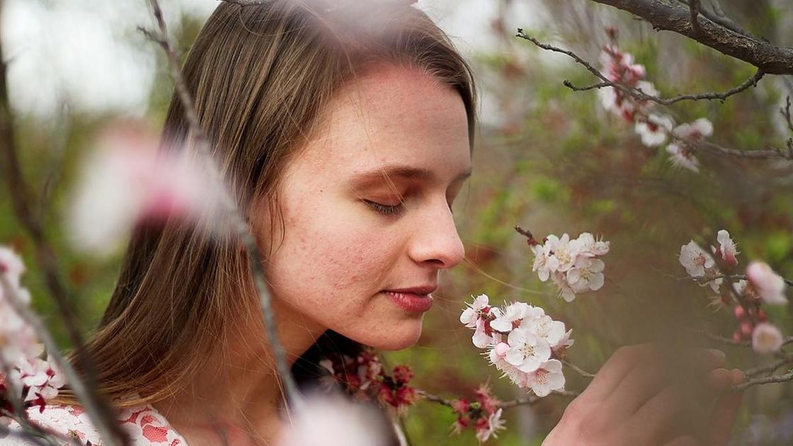 девушка нюхает цветы девушка нюхает цветы