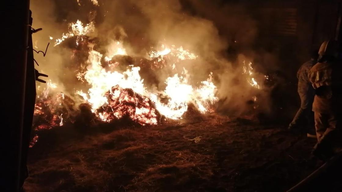 Сено горит в Атырауской области