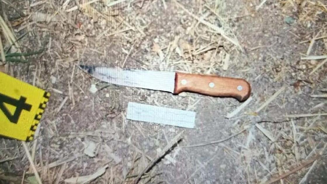 Нож лежит на месте преступления в Жетысуской области