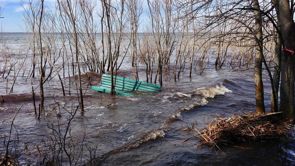 К чему снится наводнение во сне для мужчины вода мутная