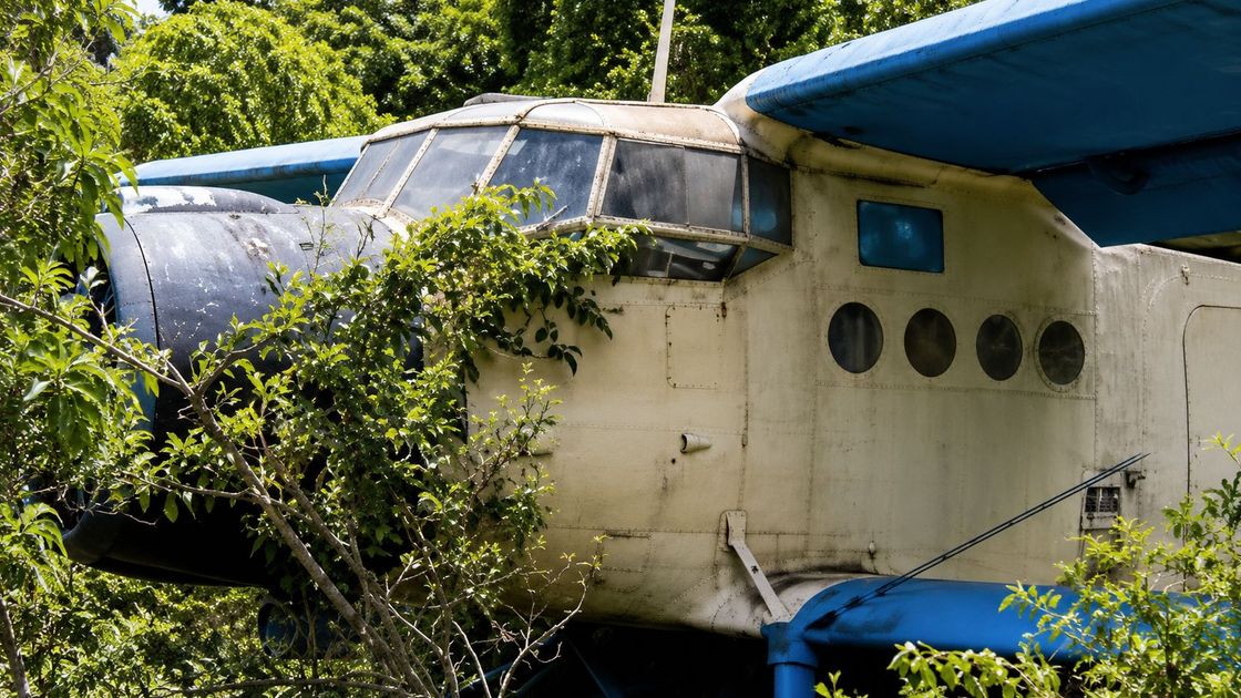 Самолет сел в кустах под Алматы