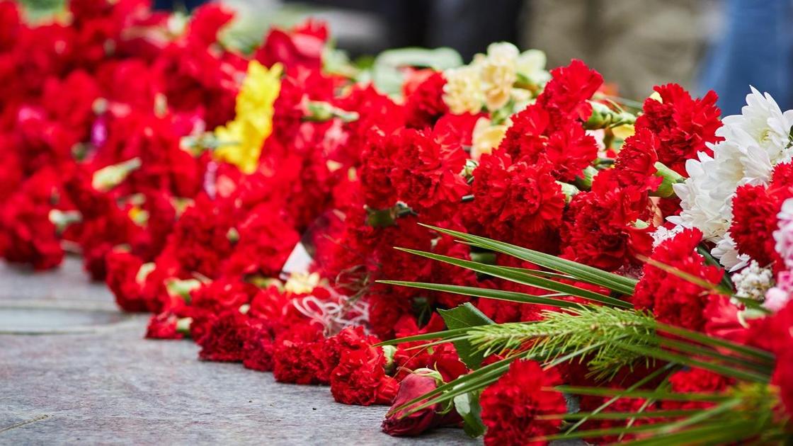 Гвоздики у подножия памятника Гвоздики у подножия памятника