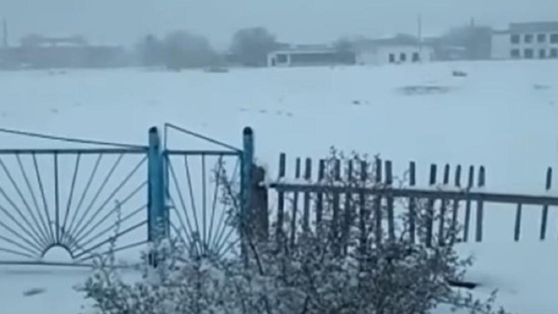 Снег выпал в апреле в Карагандинской области