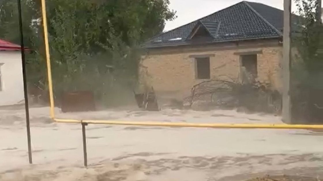 Сель