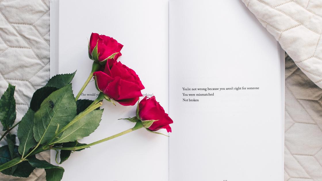 Розы лежат на книге и постели