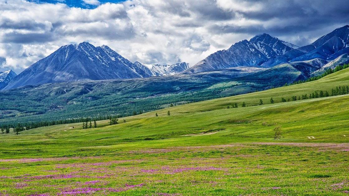 Горы в Монголии