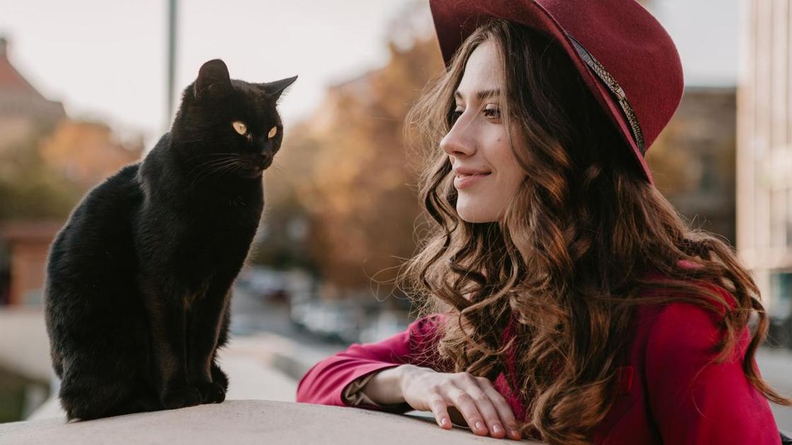 Черная кошка сидит на камне. Рядом стоит девушка в шляпе и смотрит на кошку