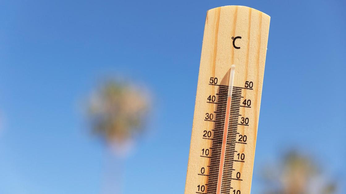 Солнечный и тепловой удар: признаки, симптомы, первая помощь - Грязинская ЦРБ