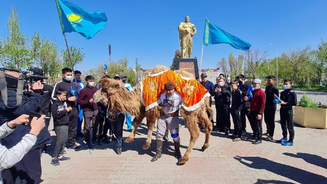 мужчина поднимает верблюда на площади