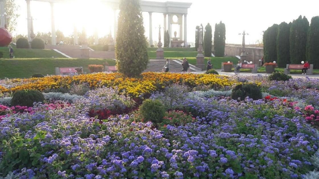 Клумба с цветами в парке