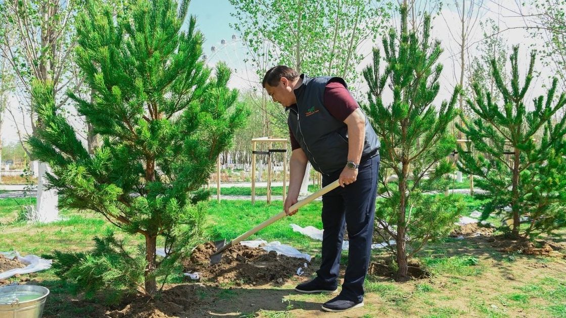 Қызылорда облысында 12000 тал егілді