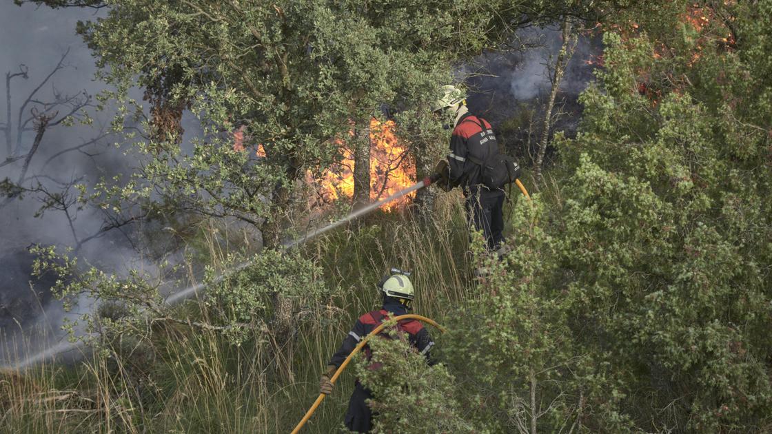 Пожарные тушат пожар в Испании