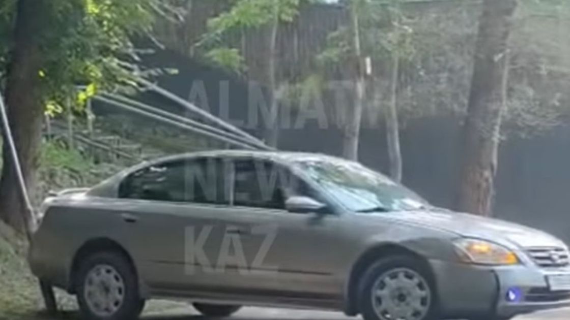 Заң бұзған көлік жүргізушісі