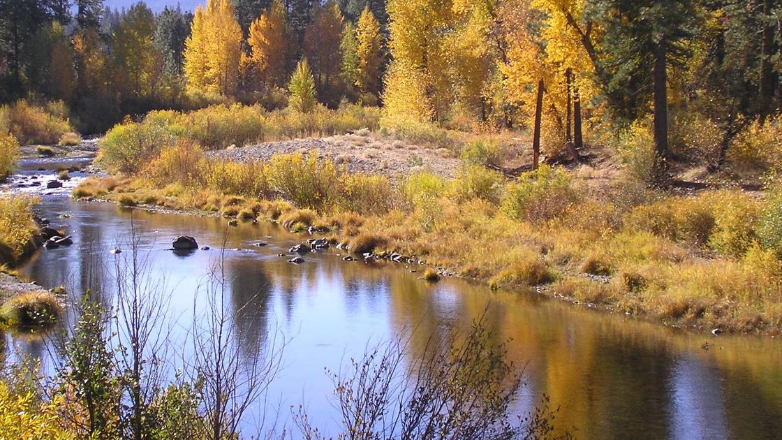 Осенняя природа с рекой