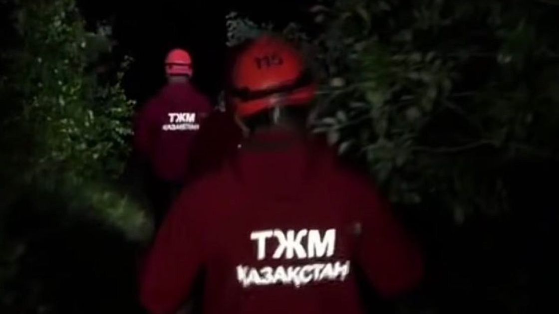 Поиски студента